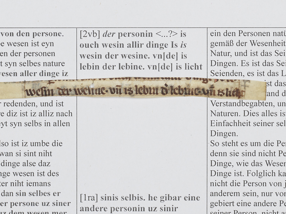 Auf den Pergamentfragmenten sind Ausschnitte aus dem weit verbreiteten Text "Von zweierlei Wegen" erhalten. Foto: Olaf Mokansky/Universitätsbibliothek Leipzig