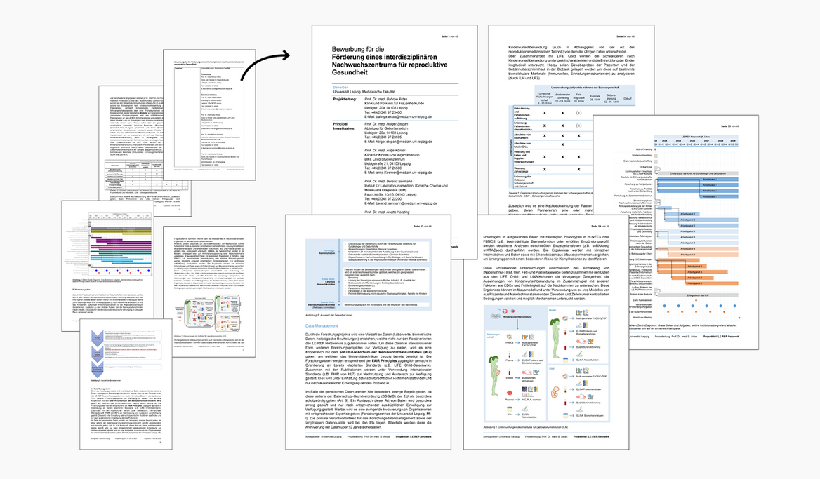 Formatierung Projektantrag und Vereinheitlichung der Abbildungen