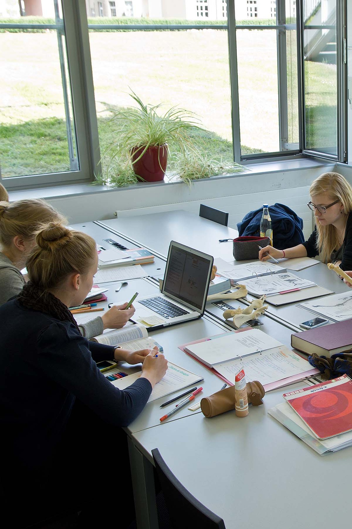 Library of Veterinary Group Study Space